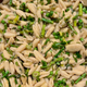 Image for article titled Five Spring Allium Recipes to Make Before It’s too Late
